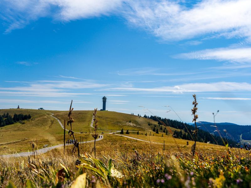 Schwarzwald Urlaubsideen, Tal Urlaubsideen, Reiseideen, Ferienideen, Naturideen, Feldberg