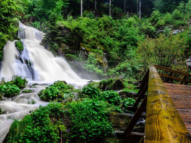 Schwarzwald Naturwege, Naturpfade, Talwege, Wanderpfade, Naturwege Schwarzwald Urlaubstipps, Tal Urlaubstipps, Natur Tipps, Reise Tipps, Ferien Tipps