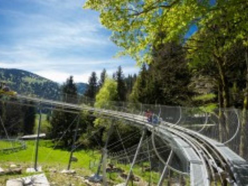 Schwarzwald Radregion, Radtouren, Bikeurlaub Natur, Talradeln, Aktivurlaub Bike, Steinwasenpark