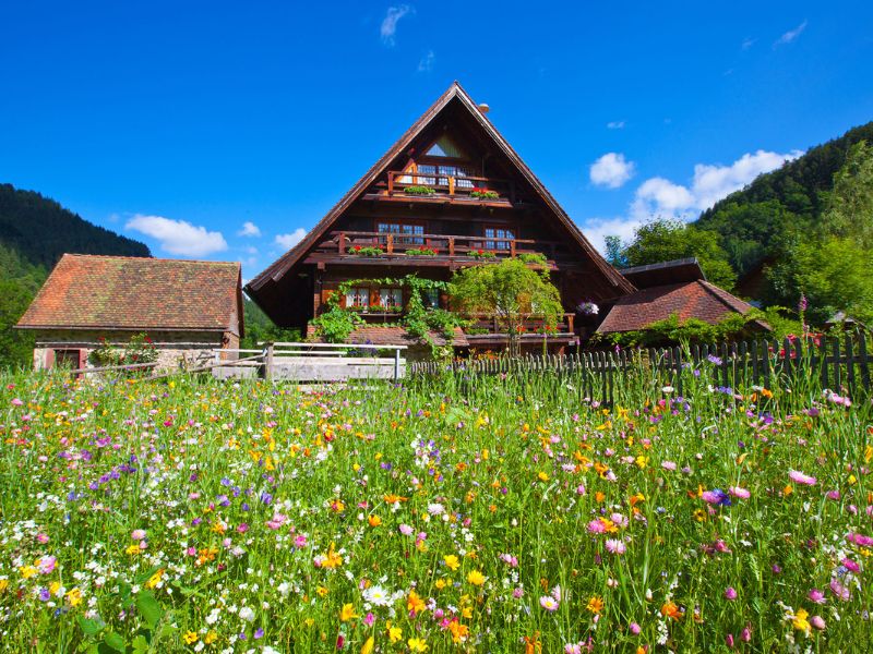 Ferienregion Simonswald, Schwarzwald Region, Urlaub Region, Tal Region, Reiseregion