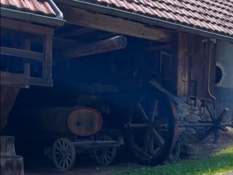 Ausflüge Simonswald, Schwarzwald entdecken, Tal erkunden, Tagesausflug, Urlaub Erlebnis Wanderurlaub Simonswald, Wanderregion Schwarzwald, Naturpfade, Wandertour, Talwanderung