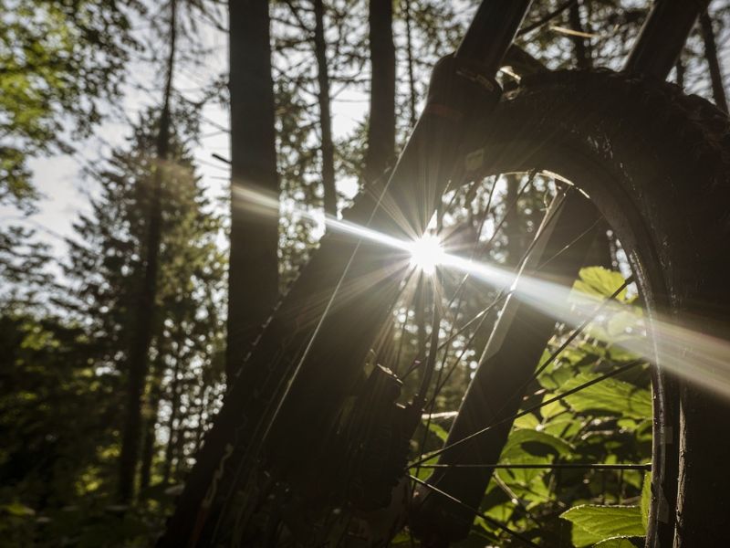 Mountainbike Simonswald, Radfahren Schwarzwald, Bikeurlaub, Simonswäldertal Bike, Radtour Schwarzwald E-Bike Simonswald, Radwege Schwarzwald, Fahrradurlaub, Bike Tour Simonswald, Radfahren Natur