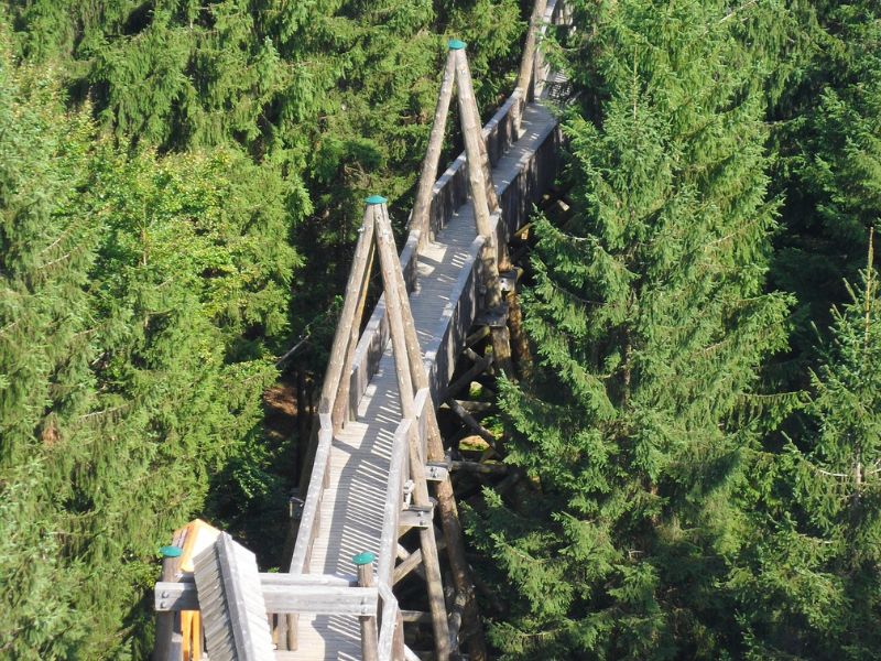 Schwarzwald genießen, Tal genießen, Urlaub genießen, Natur genießen, Ferien genießen, Baumkronenweg